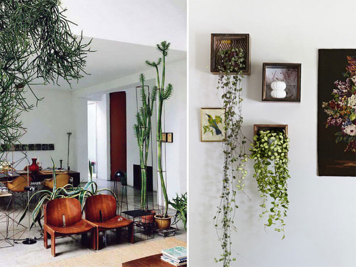 6 ways to get creative with indoor plants » India Art N Design