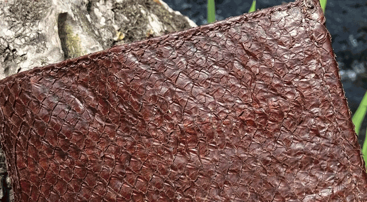"Felsie Fish Leather indiaartndesign"