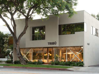 "tribu flagship NCA studio inc indiaartndesign"