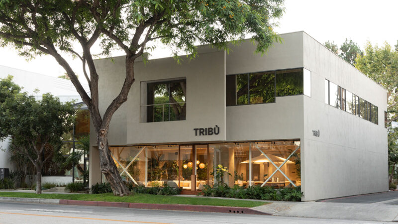 "tribu flagship NCA studio inc indiaartndesign"