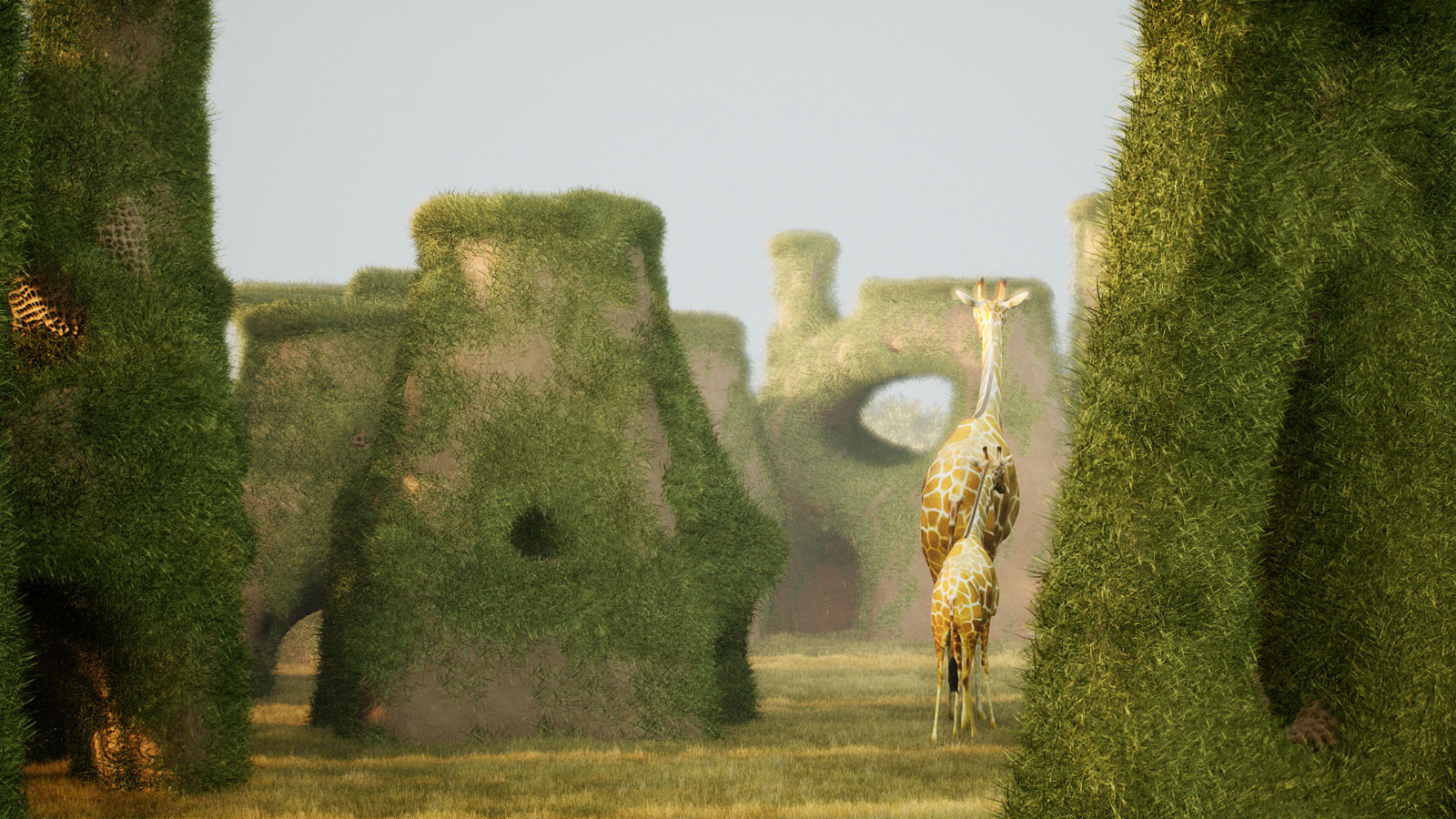 Giraffe Water Towers: The Art of Building for the Wild| Zoo Architects